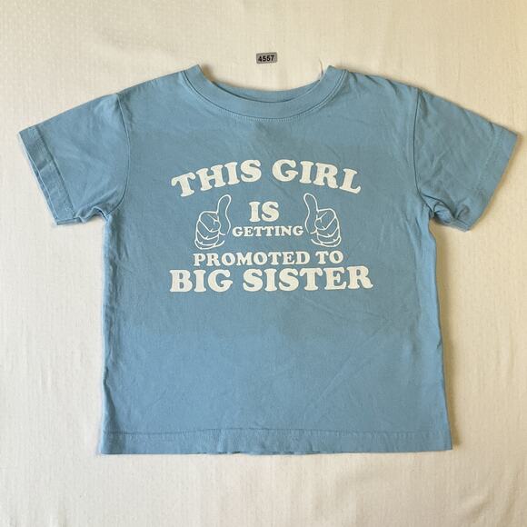 Rabbit Skins Girls Shirt 3T Blue Getting Promoted To Big Sister Short Sleeve - Picture 1 of 8
